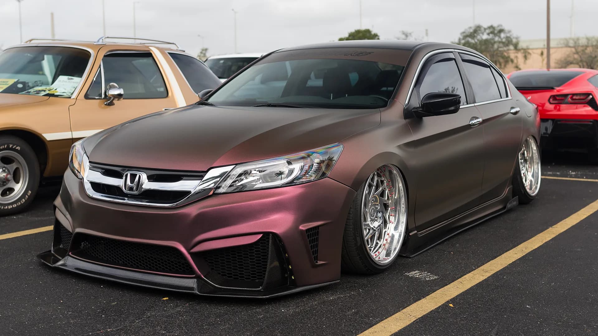 Paint & Body